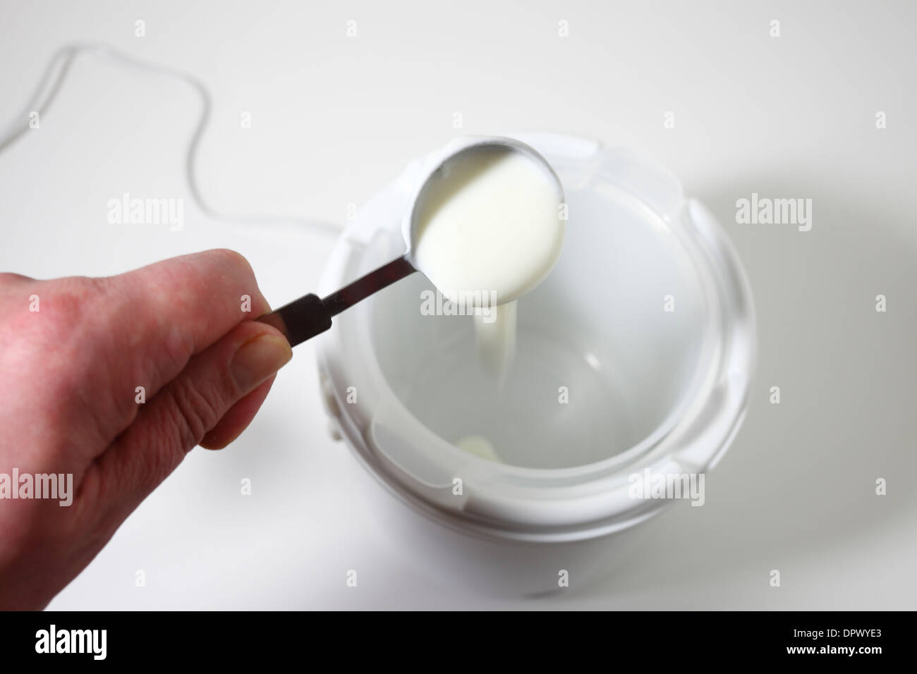 Aggiunta di live starter yogurt per uno yogurt maker. Foto Stock