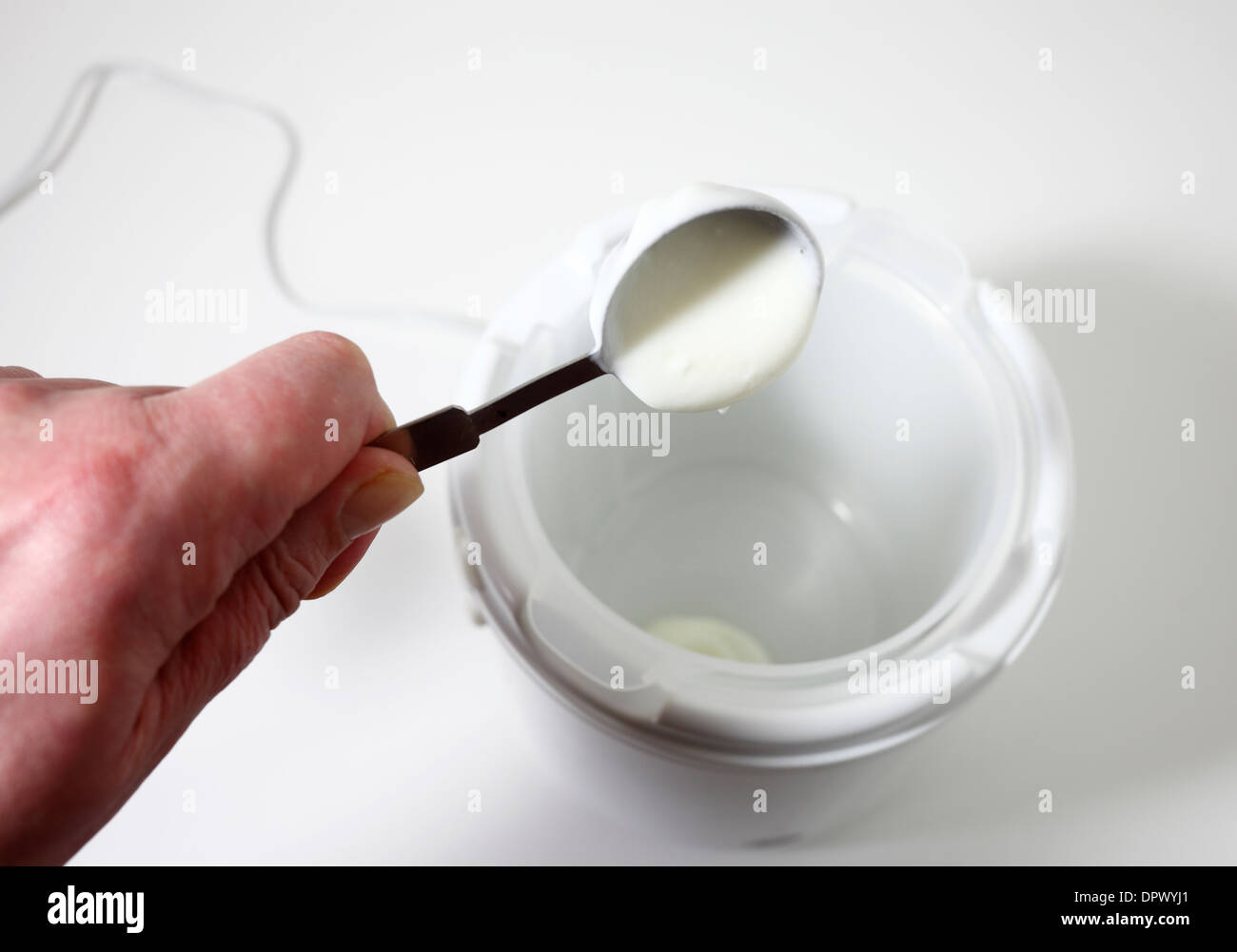 Aggiunta di live starter yogurt per uno yogurt maker. Foto Stock