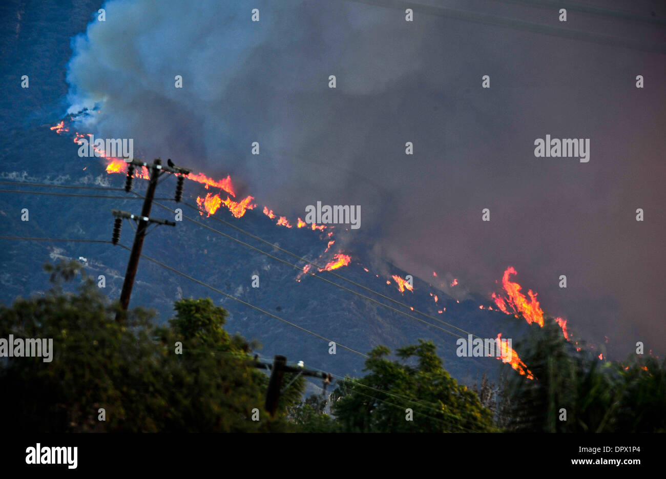 Los Angeles, Glendora. 16 gennaio, 2014. Incendio divampa all'Angeles National Forest, a nord di Glendora, gen. 16, 2014. La Colby Fire, riportato a circa 6 del mattino come un campo di controllo di fuoco, è cresciuto a 1.700 acri e causato fumo denso sopra la Los Angeles regione. Credito: Zhang Chaoqun/Xinhua/Alamy Live News Foto Stock