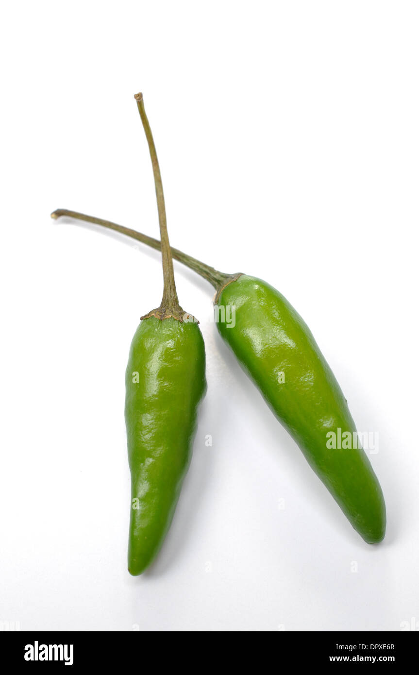 Green hot chili peppers Foto Stock