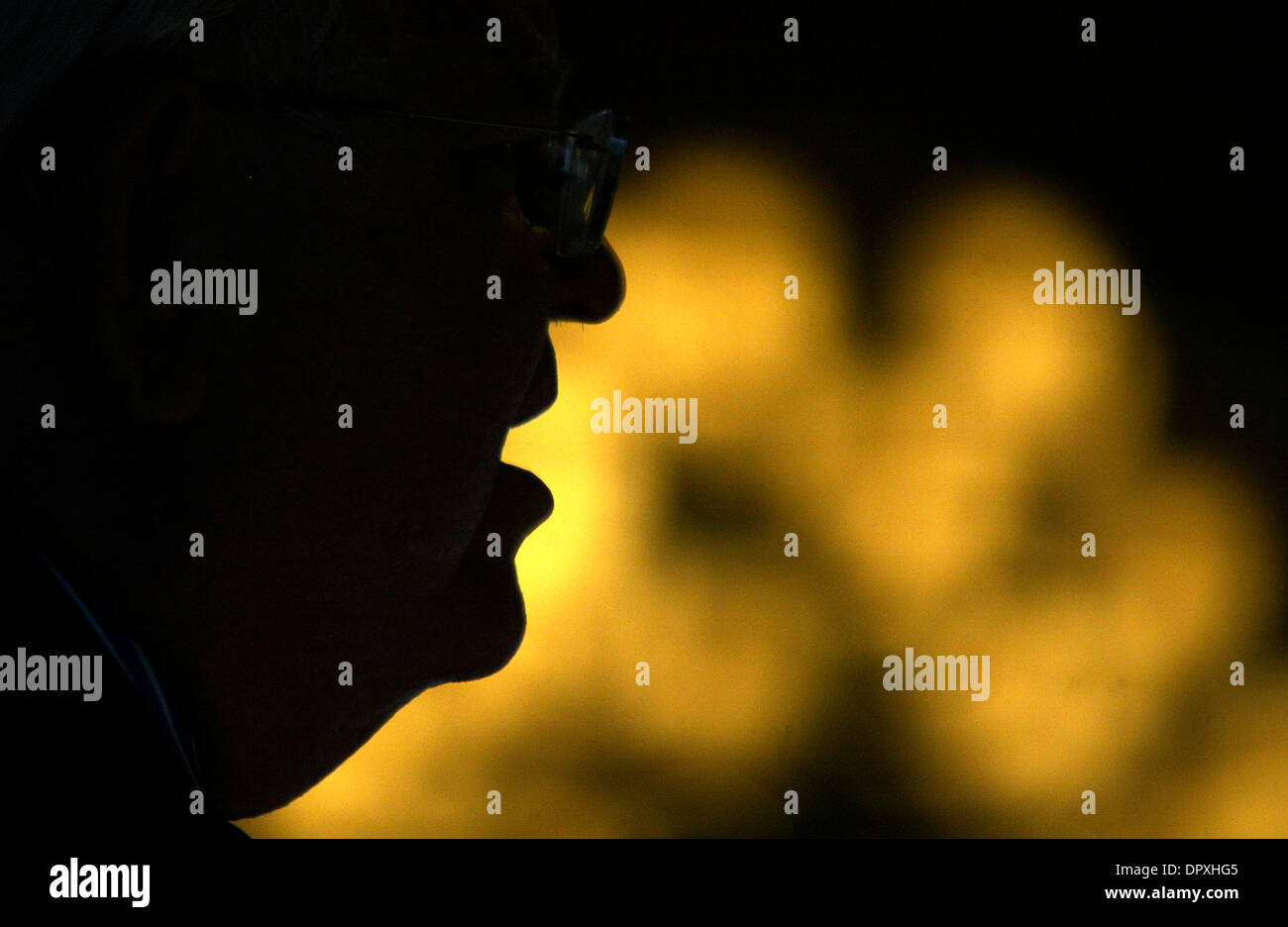 Maggio 05, 2009 - New Delhi NCR (regione della capitale nazionale), India - AMBASCIATORE ROBERT BLACKWILL, ex ambasciatore statunitense in India e Senior Fellow e Senior Advisor del presidente, RAND Corporation indirizzi in una sessione su "noi-India relazioni" organizzato congiuntamente dalla confederazione dell'industria indiana (CII) e Aspen Institute India. BLACKWILL detto entrambi i paesi dovrebbero intensificare Foto Stock