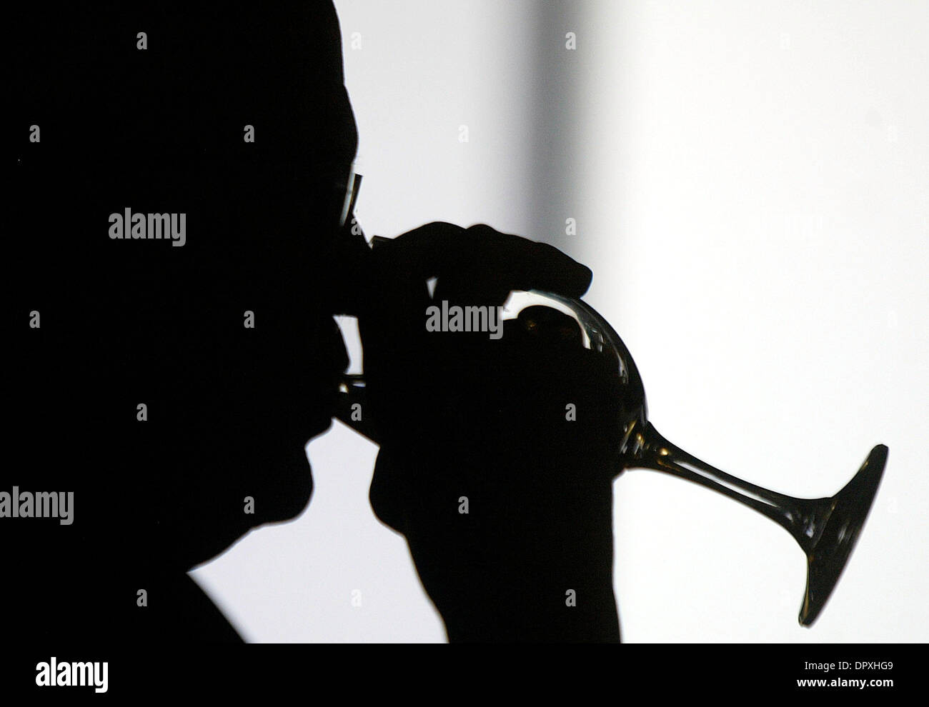 Maggio 05, 2009 - New Delhi NCR (regione della capitale nazionale), India - AMBASCIATORE ROBERT BLACKWILL, ex ambasciatore statunitense in India e Senior Fellow e Senior Advisor del presidente, RAND Corporation indirizzi in una sessione su "noi-India relazioni" organizzato congiuntamente dalla confederazione dell'industria indiana (CII) e Aspen Institute India. BLACKWILL detto entrambi i paesi dovrebbero intensificare Foto Stock