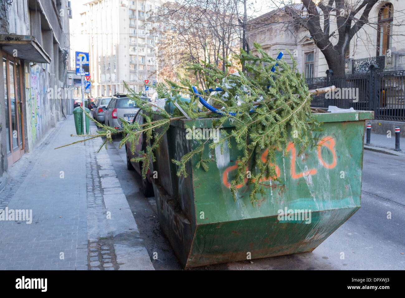 Albero di natale e la spazzatura dopo le celebrazioni del Natale in un cestino della spazzatura Foto Stock