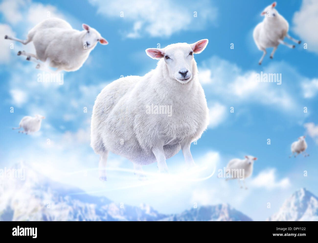 Carino pecore battenti in cloouds. Foto Stock