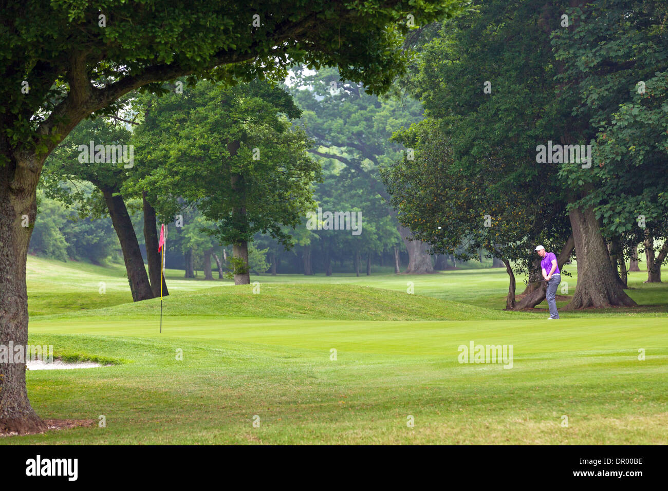 Il Golfer scheggiatura sul putting green con la palla a metà in aria. Foto Stock