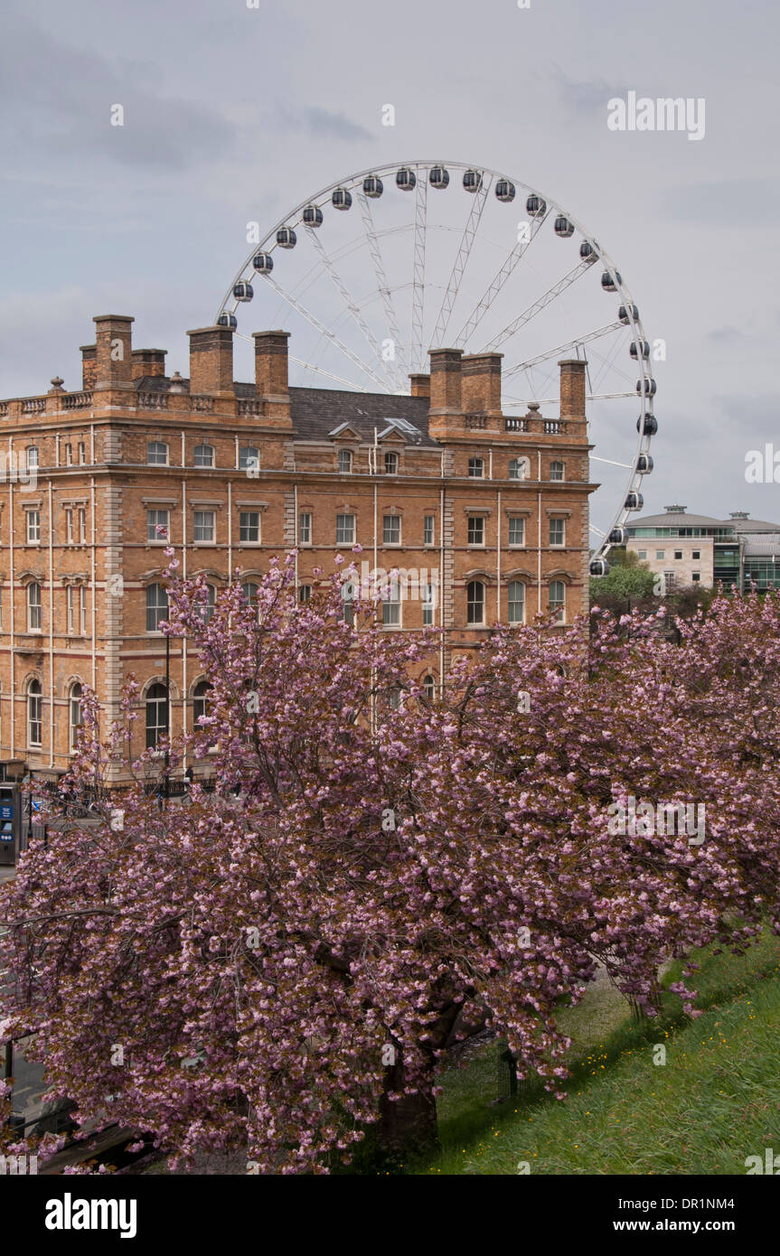 Torreggianti ruota York attrazione turistica, in motivi di impressionante storico hotel Il Royal York (ora la principale) - York, North Yorkshire, Inghilterra. Foto Stock