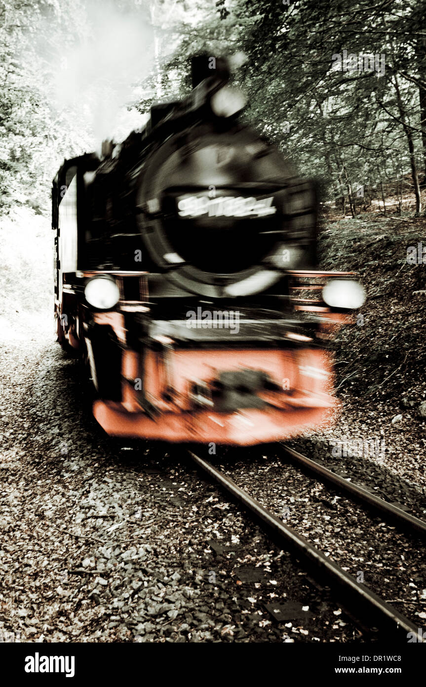 Ferrovia a scartamento ridotto, precipitando Roland, Ruegen, Meclemburgo-Pomerania, Germania Foto Stock