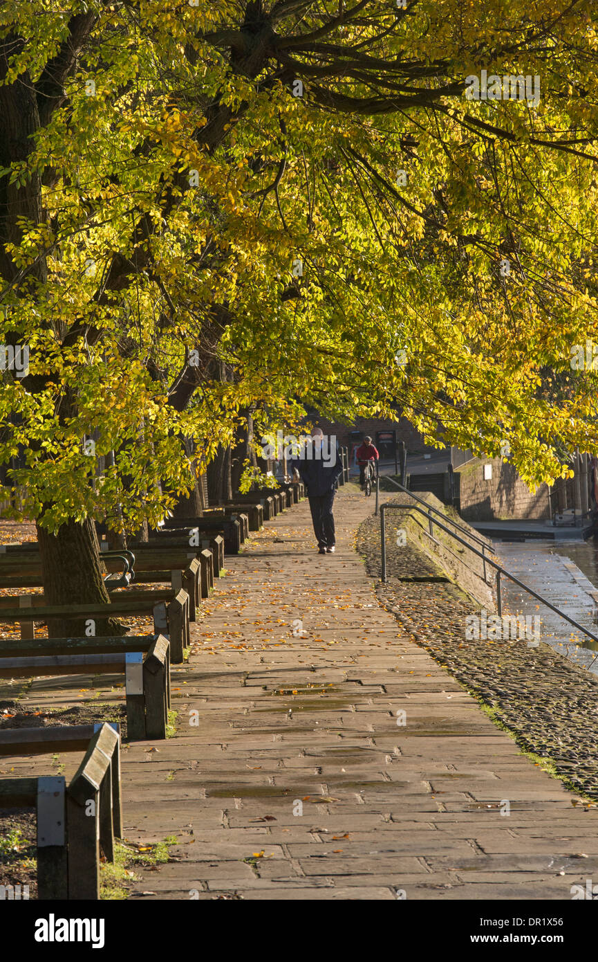 Uomo che cammina da sola, lungo una tranquilla, panoramica e soleggiata, alberata sentiero lungo il fiume sulla giornata di sole a inizio autunno - Dame Judi Dench a piedi, York, England, Regno Unito Foto Stock