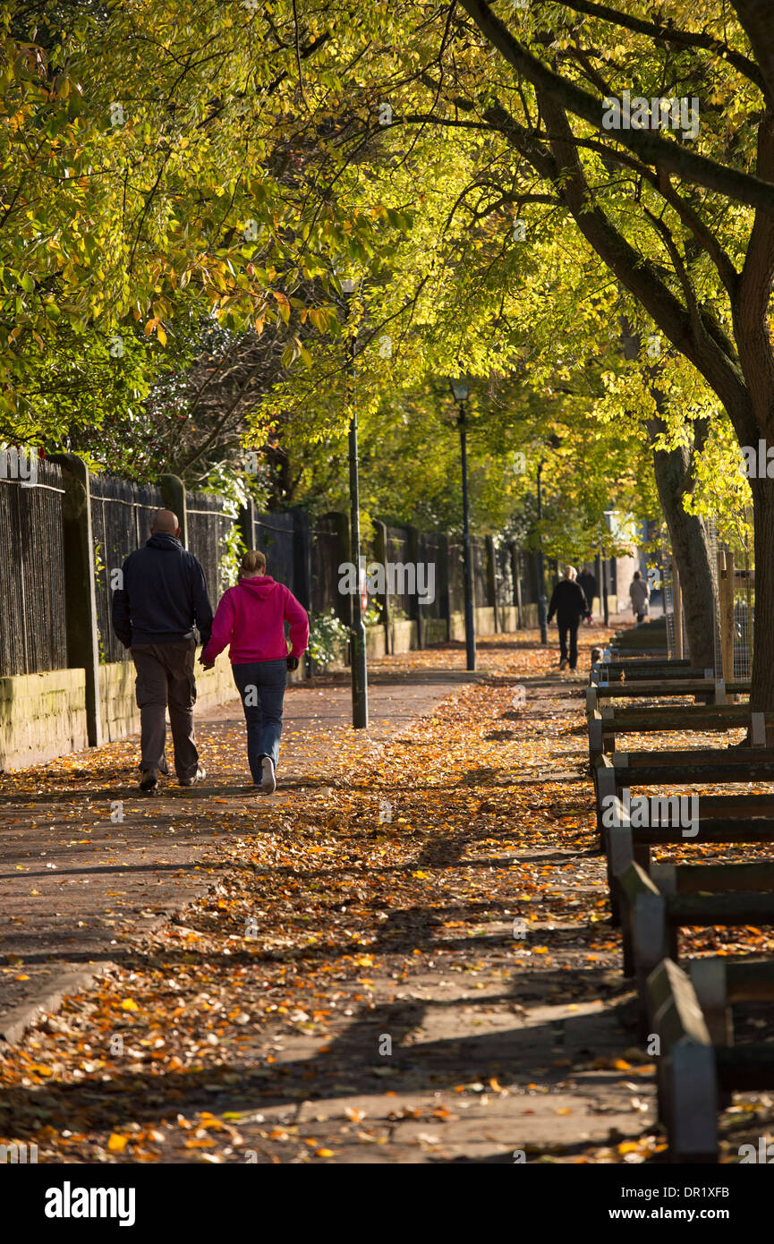 Paio di persone a piedi lungo una tranquilla, panoramica e soleggiata, viale alberato di sentiero in una giornata di sole a inizio autunno - Dame Judi Dench a piedi, York, Inghilterra, Regno Unito. Foto Stock