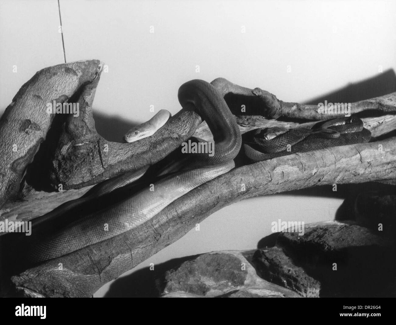 LLANDUDNO 1866 Foto Stock