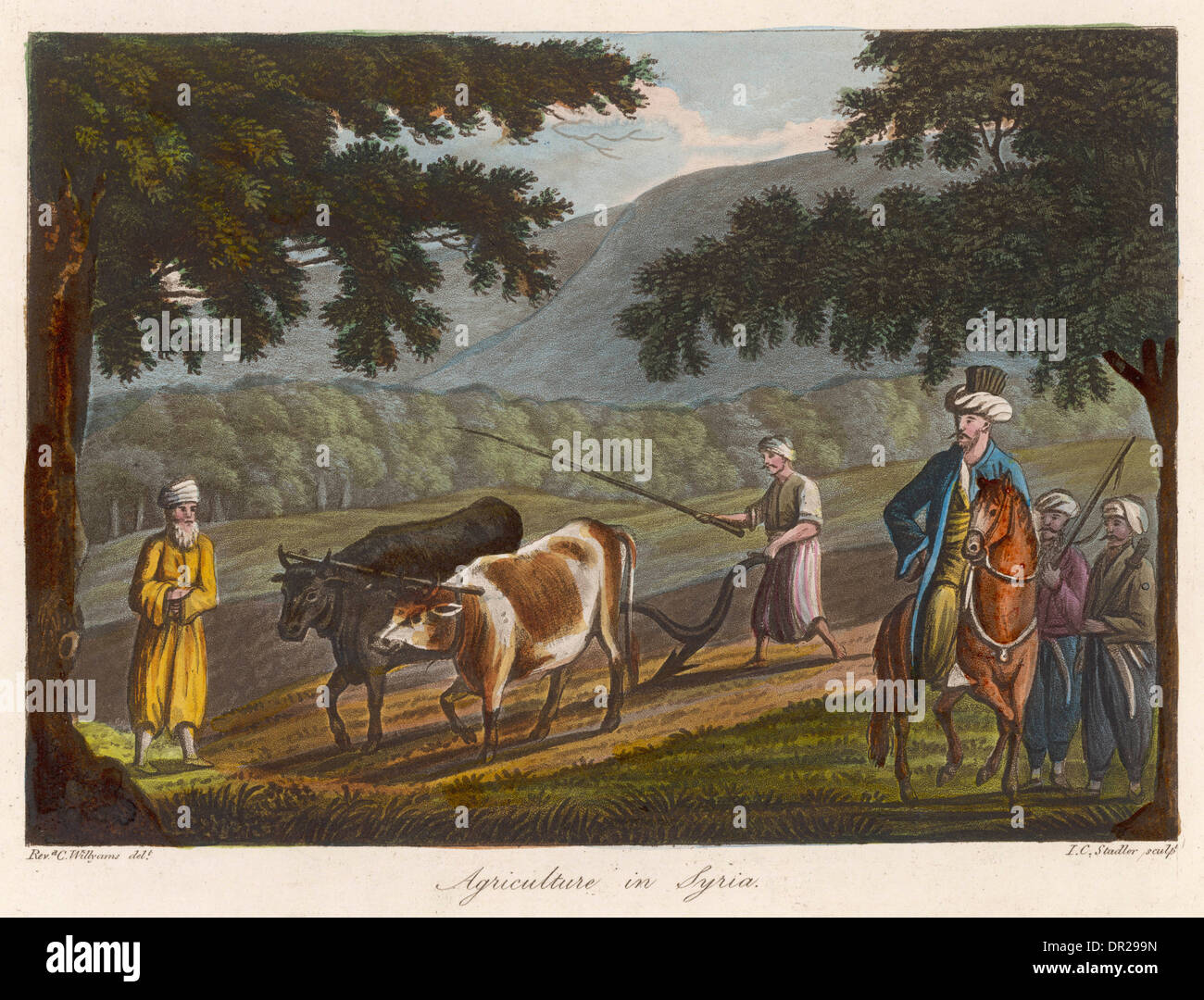 Aratura IN SIRIA Foto Stock