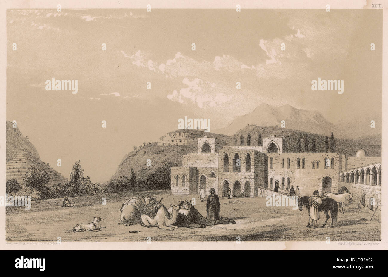 Annuncio di esca DIN / BETTEDIN Foto Stock