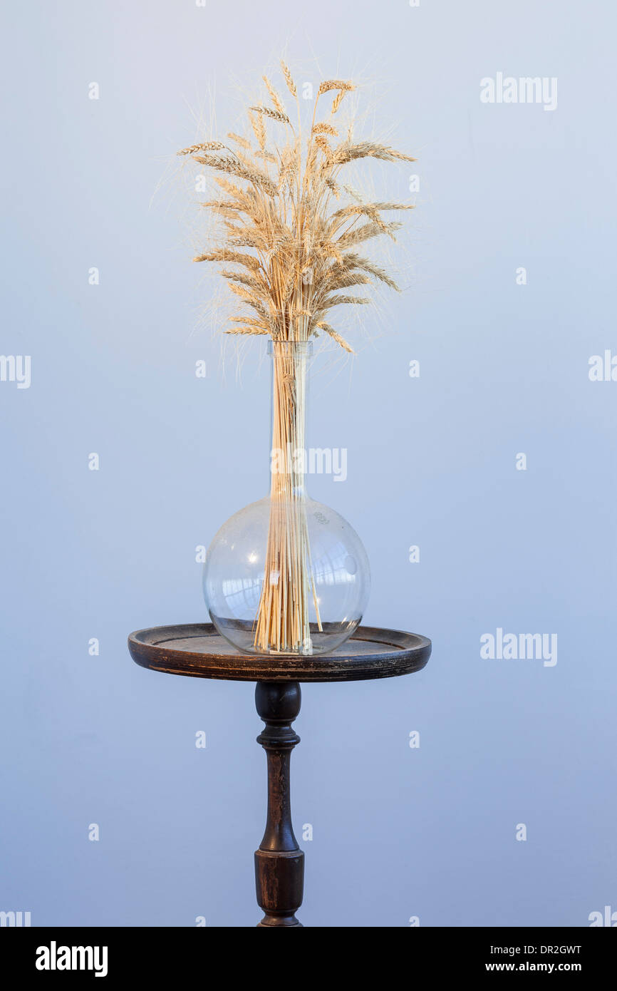 Il grano a secco in un pallone di vetro su un supporto in legno Foto Stock