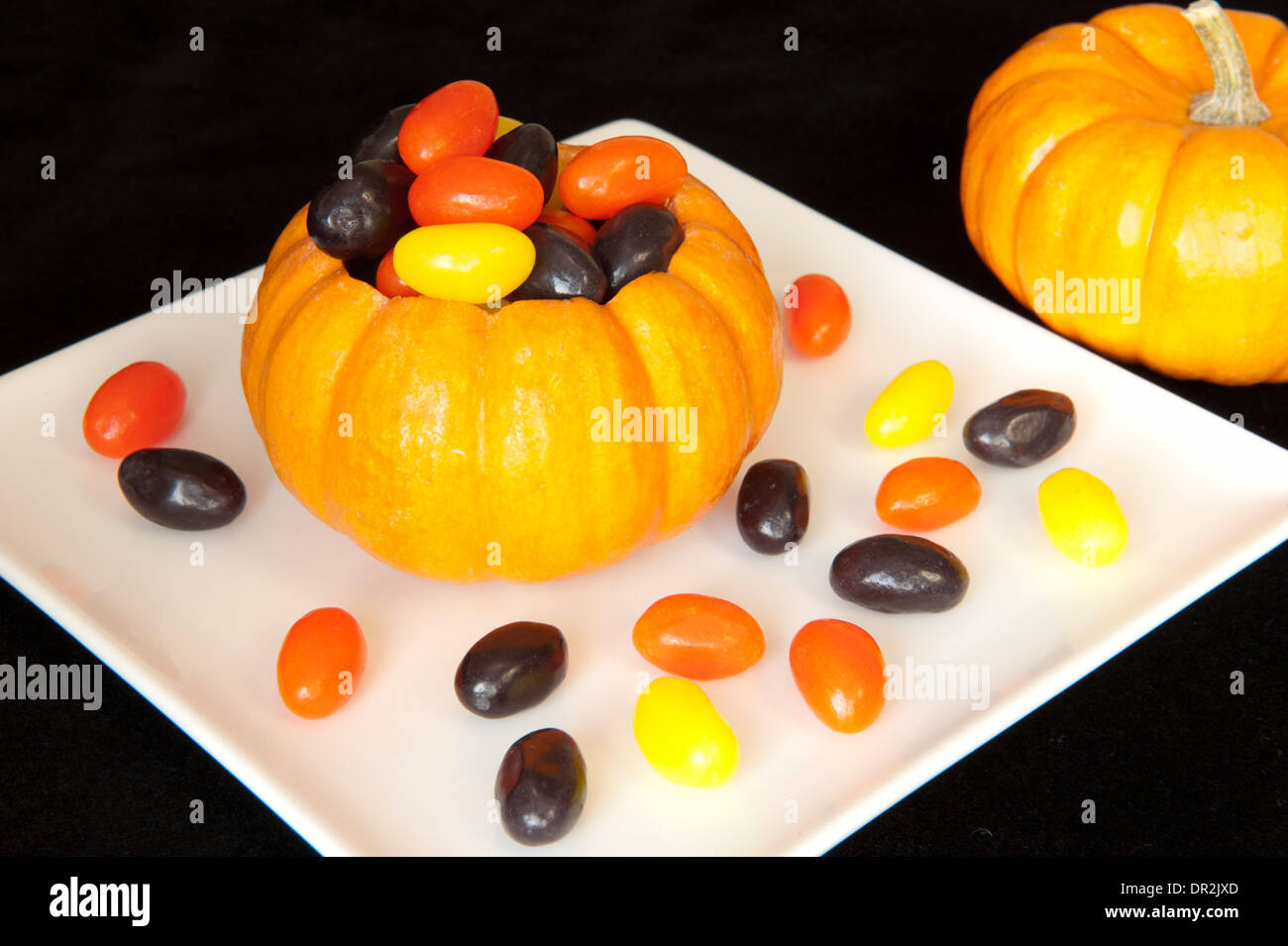 Mini zucca riempita con Halloween jellybeans su una piastra bianca Foto Stock