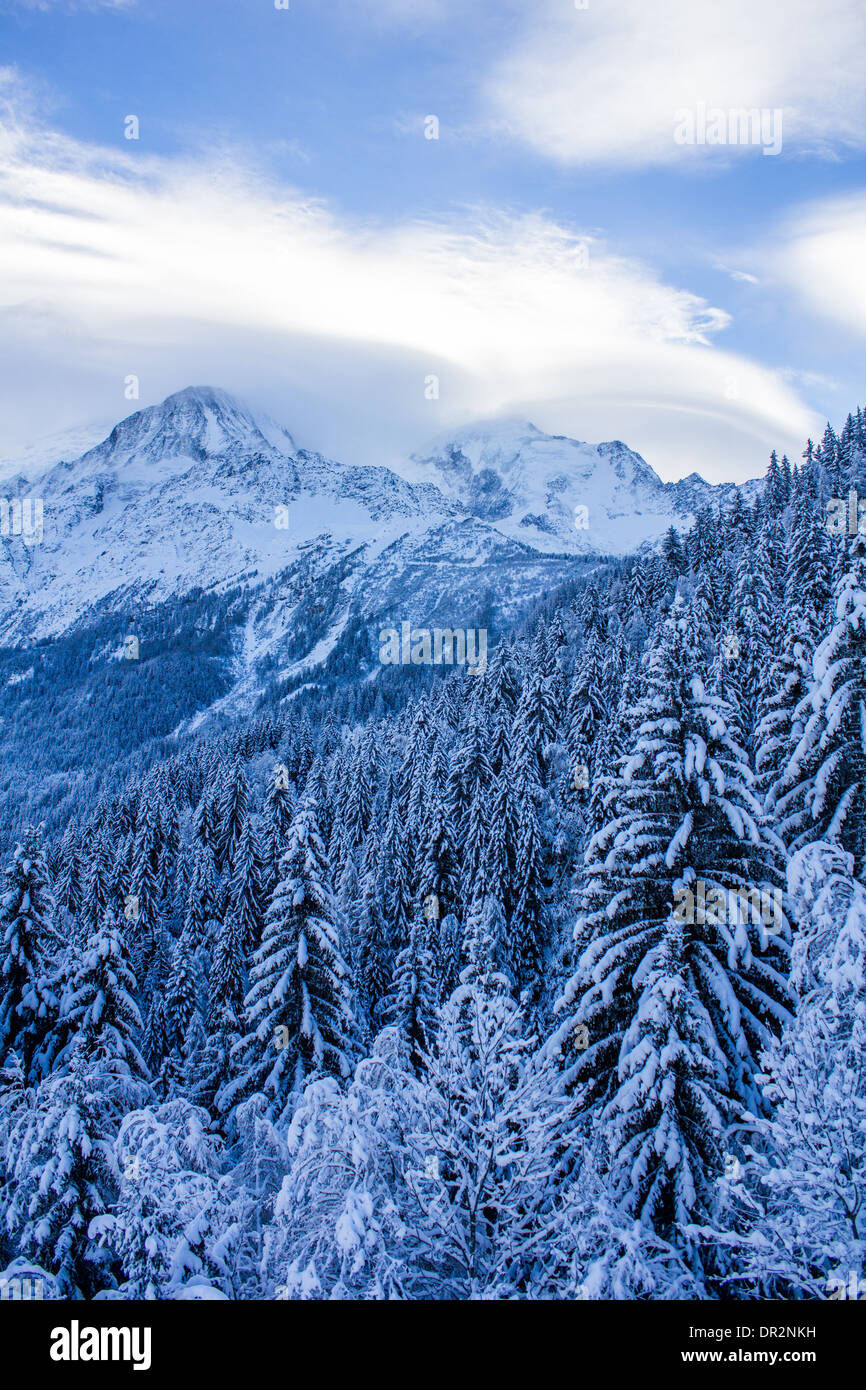 Les Houches nella vallata di Chamonix Mont Blanc Foto Stock