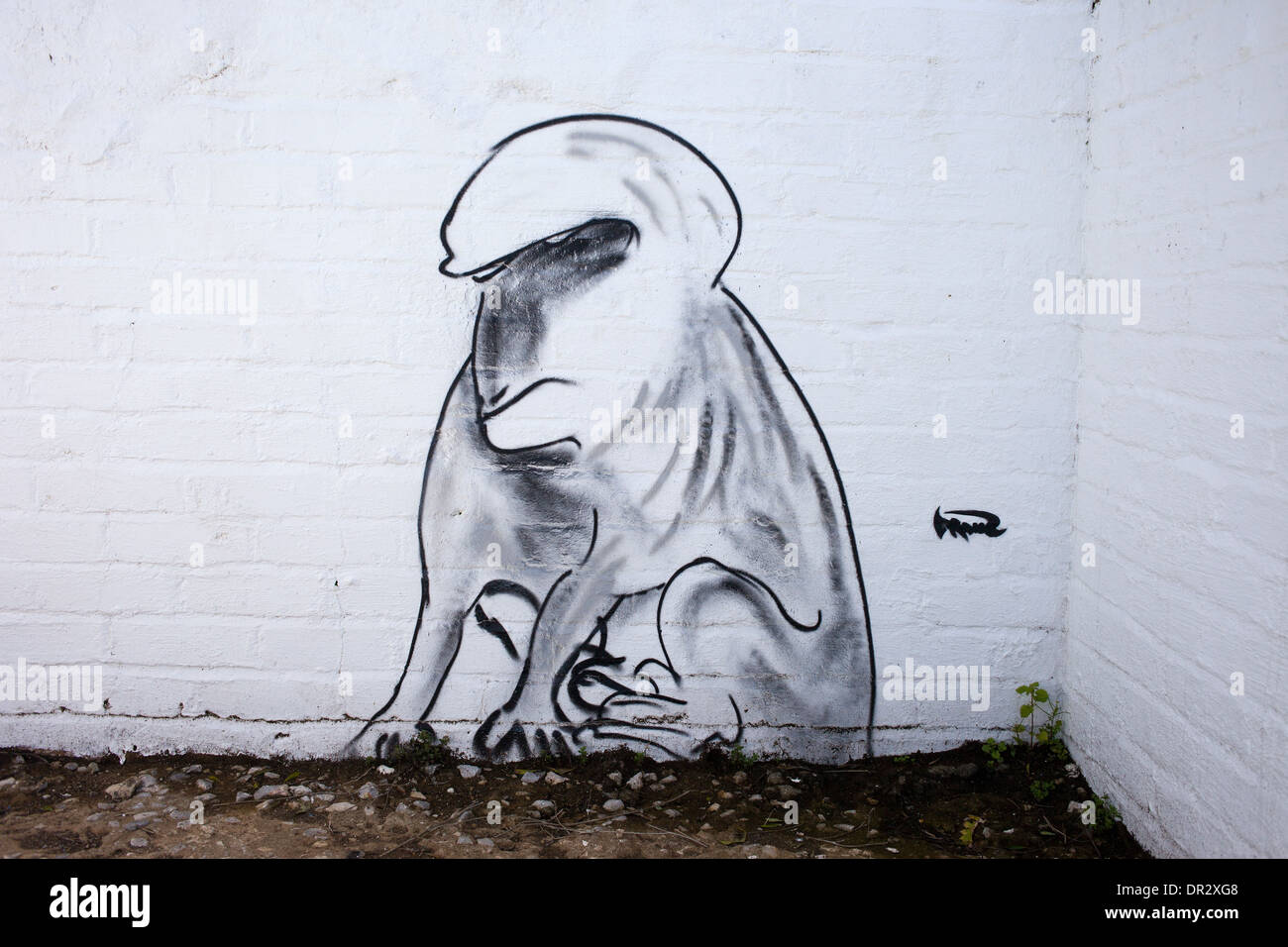 Graffiti di una scimmia macaco di Gibilterra. Foto Stock Graffiti di una scimmia macaco di Gibilterra. Foto Stock