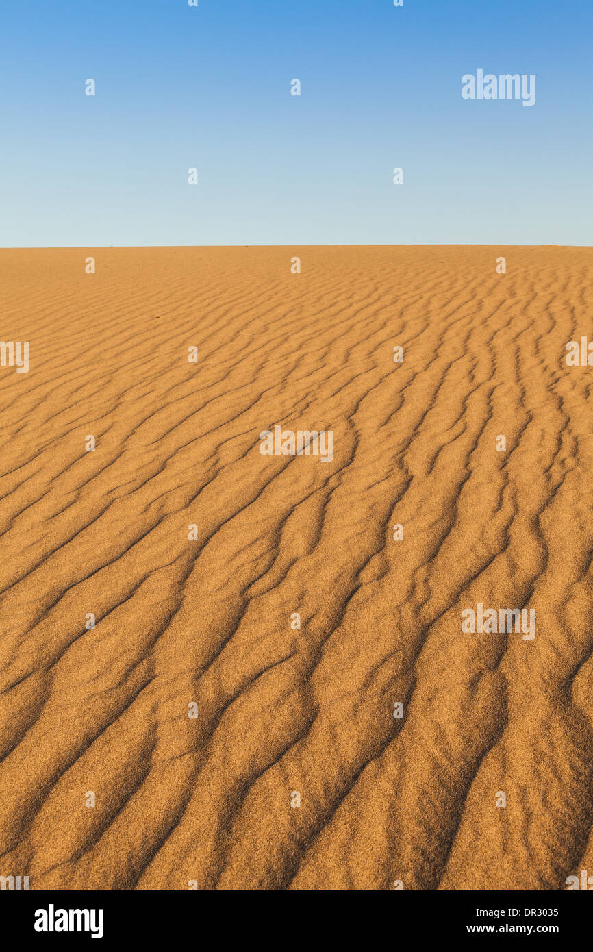 Le dune di sabbia di Mesquite piatto nella Valle della Morte nel deserto - California Foto Stock