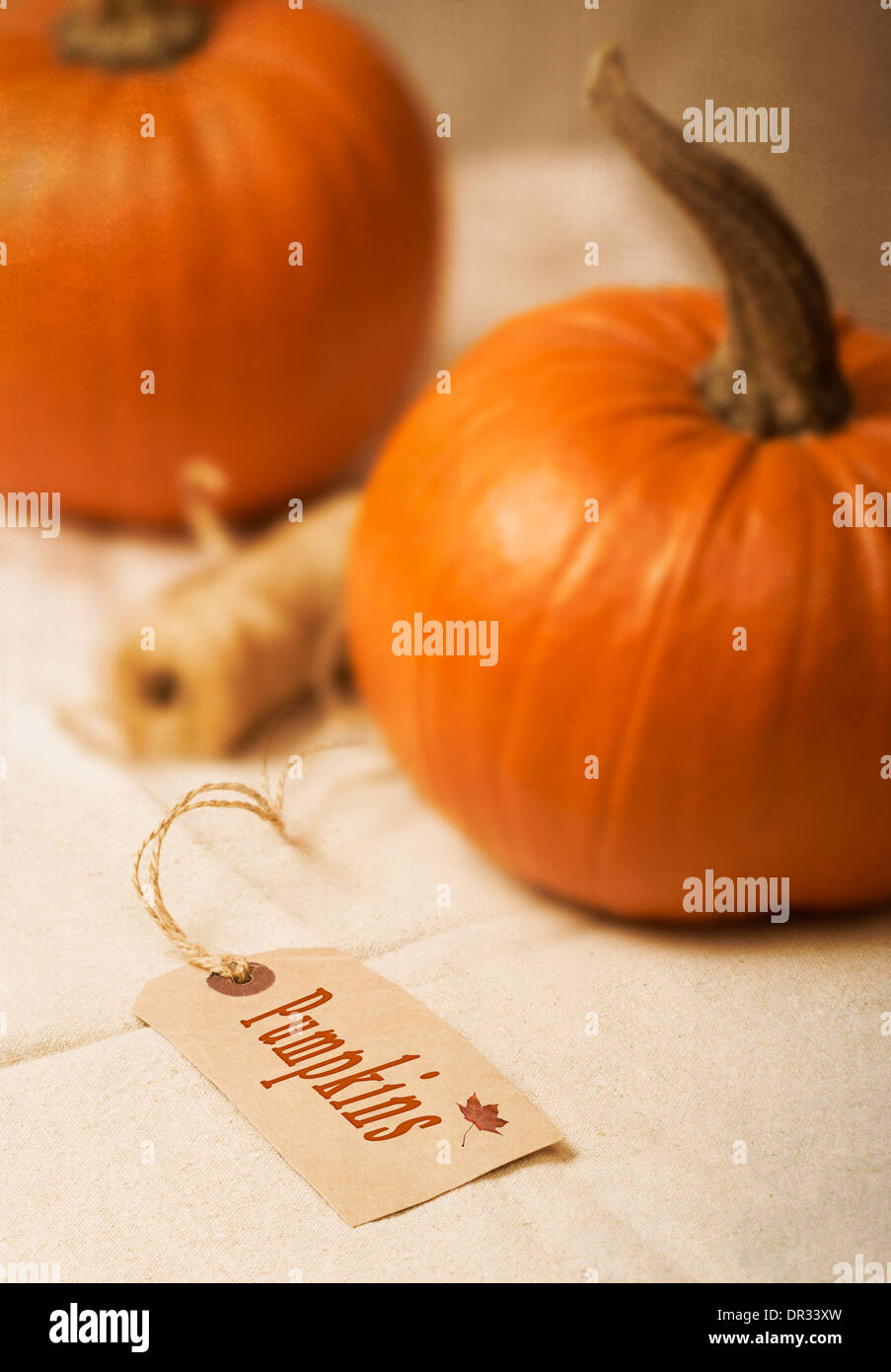 Etichetta di zucca con zucche e lo spago in background Foto Stock