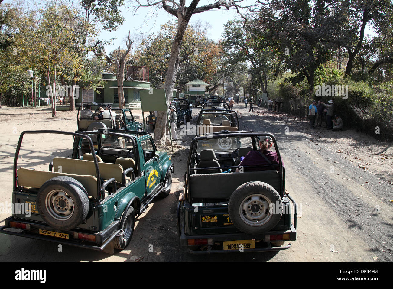 Jeep schierate a Bandhavgarh pronto per l'avvio della trasmissione Foto Stock