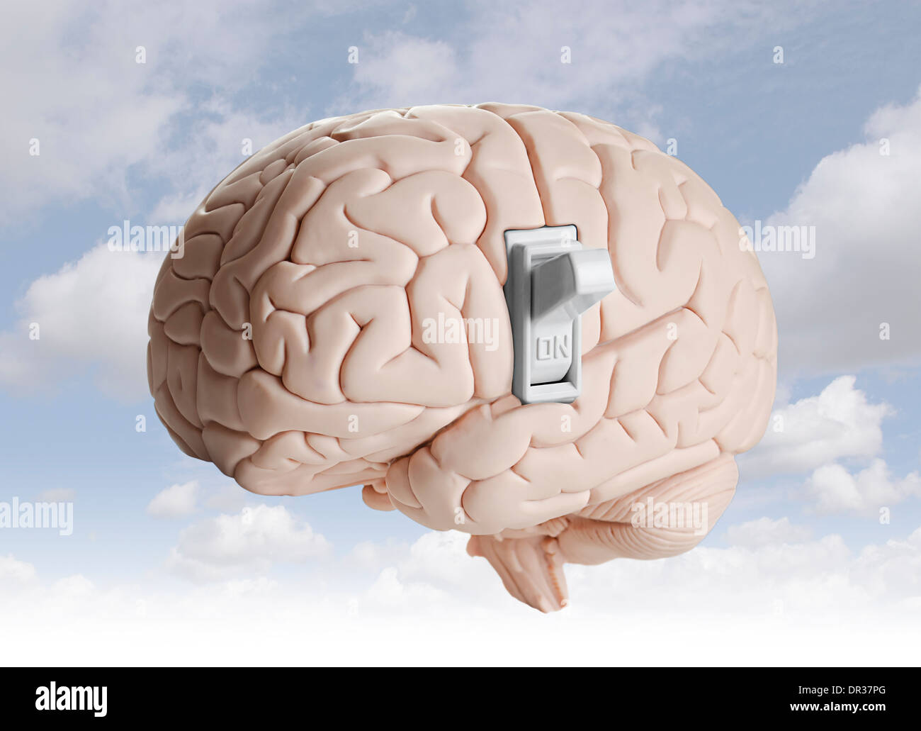 Brain power. Modello del cervello con un interruttore della luce Foto Stock