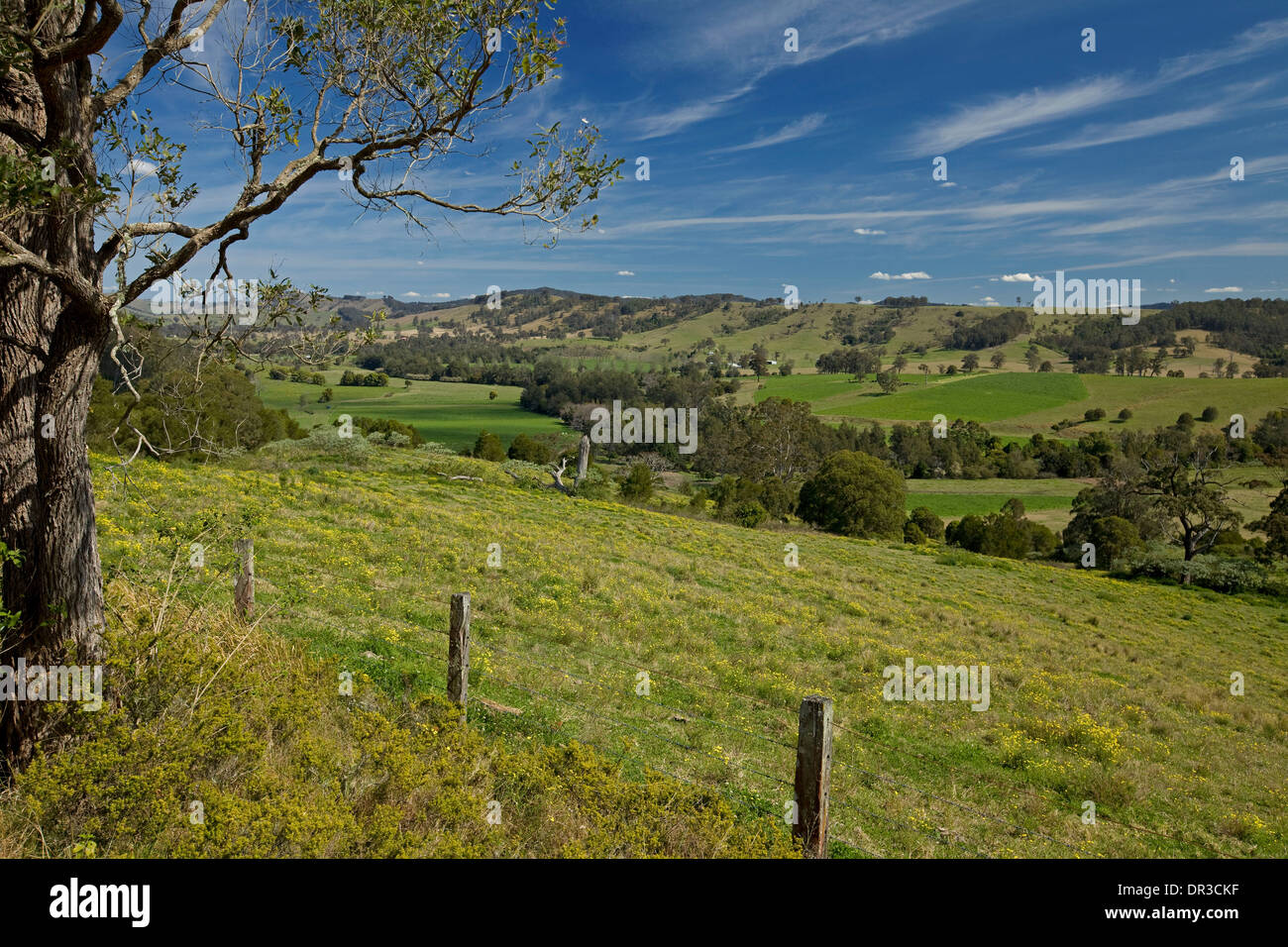 Il pittoresco paesaggio rurale delle colline basse e fertile valle verde sotto il cielo blu vicino a Dungog in NSW Australia Foto Stock