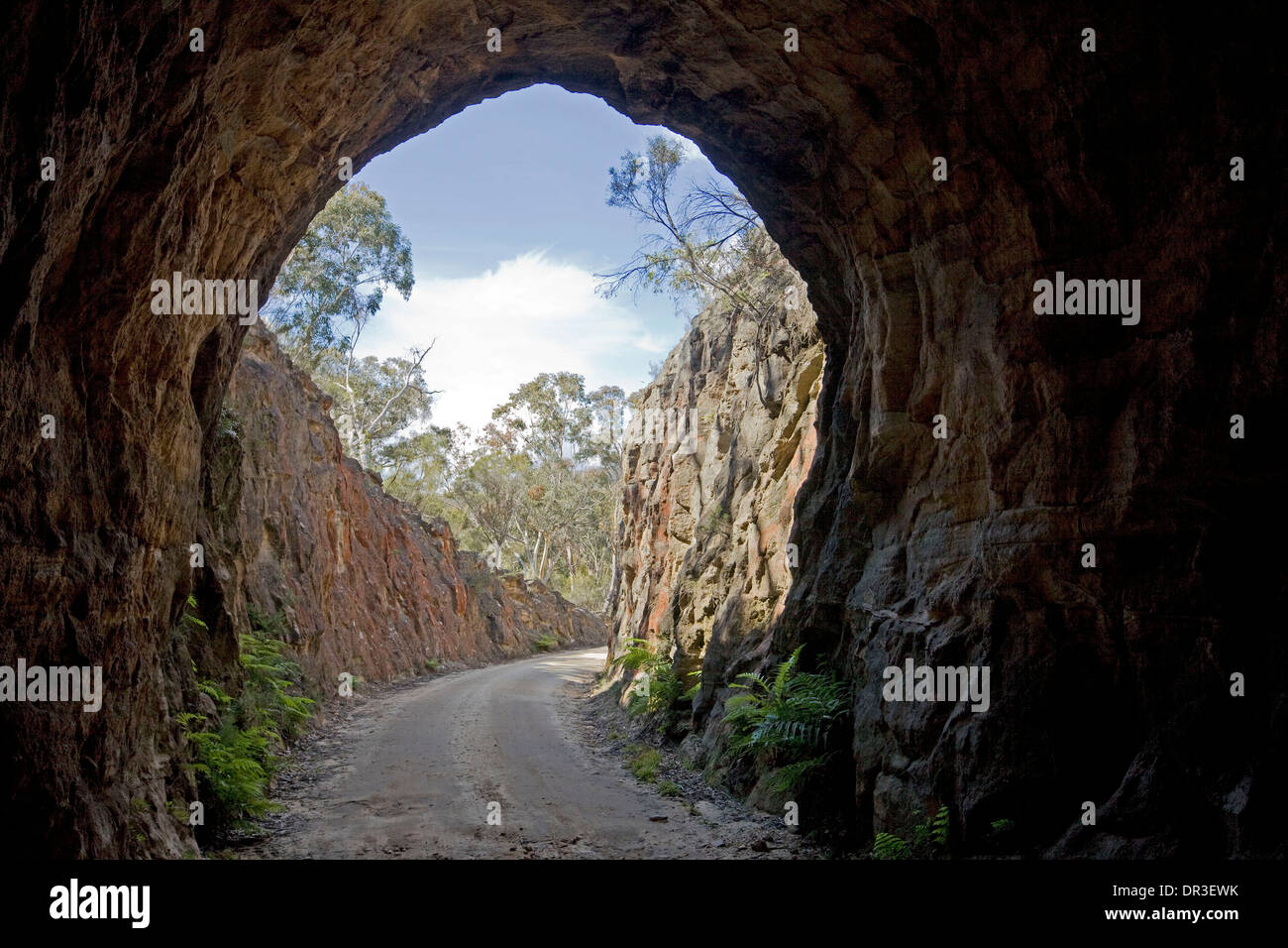 Stretta strada sterrata che conduce attraverso la pietra arcuato entrata in disuso tunnel ferroviario a Newnes vicino Lithgow, NSW Australia Foto Stock