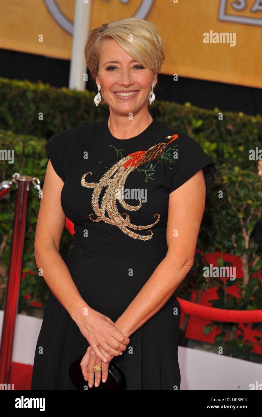 Los Angeles, CA, Stati Uniti d'America. 18 gennaio, 2014. Emma Thompson in sala stampa per il ventesimo annuale di Screen Actors Guild Awards (Cali) - Arrivi 2, lo Shrine Auditorium, Los Angeles, CA 18 gennaio 2014. Credito: Dee Cercone/Everett raccolta/Alamy Live News Foto Stock