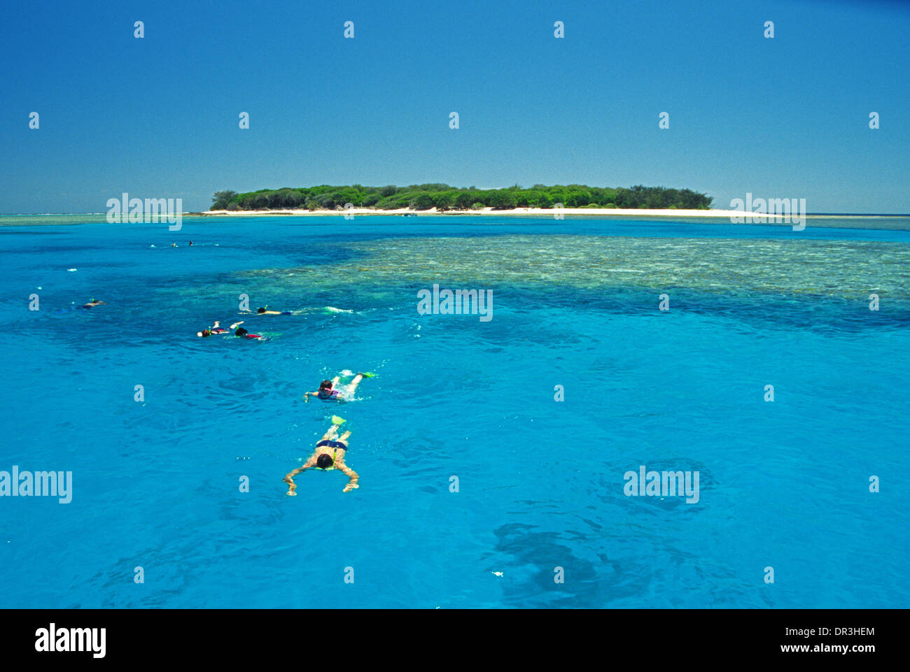 I turisti lo snorkeling in acque azzurre della laguna vicino alla piccola isola di smeraldo australiani grande barriera corallina Queensland Foto Stock