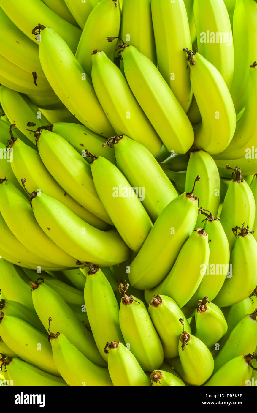 I grappoli di banane verdi Foto Stock