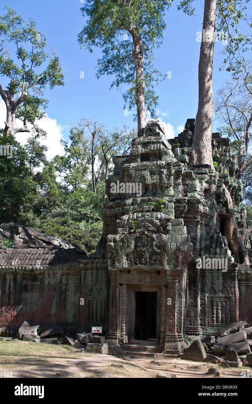 Rovine di Ta Prohm, Cambogia Foto Stock