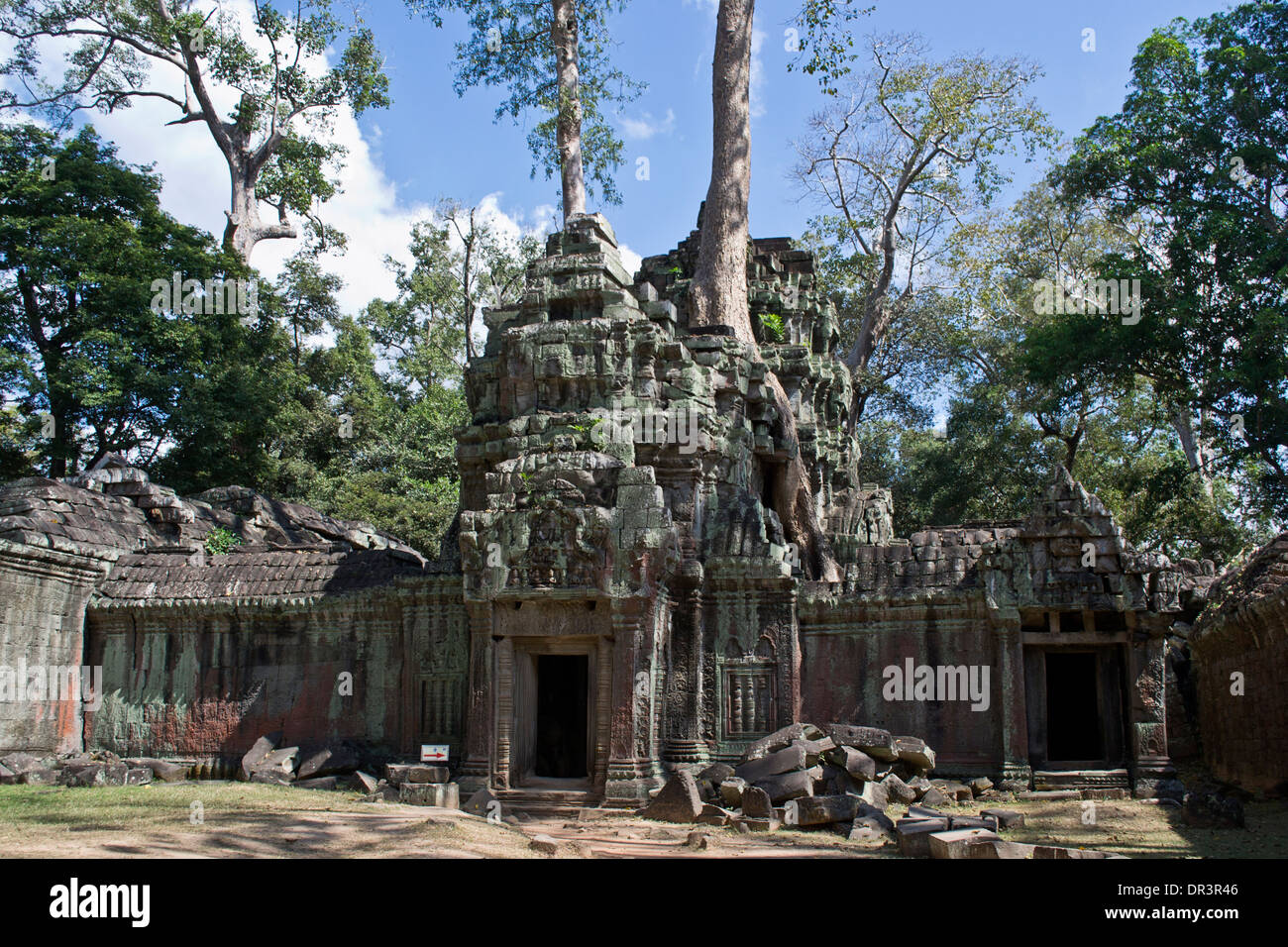 Rovine di Ta Prohm, Cambogia Foto Stock