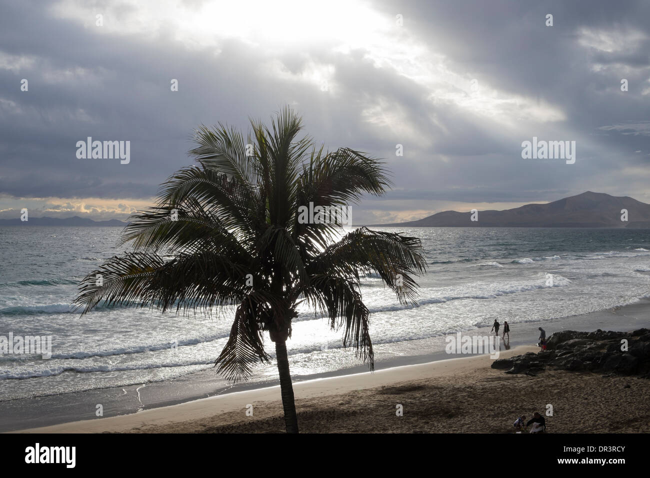 Palm tree stagliano contro il cielo scuro con sun scoppio attraverso il cloud in inverno in Puerto del Carmen, Lanzarote, Isole Canarie Foto Stock