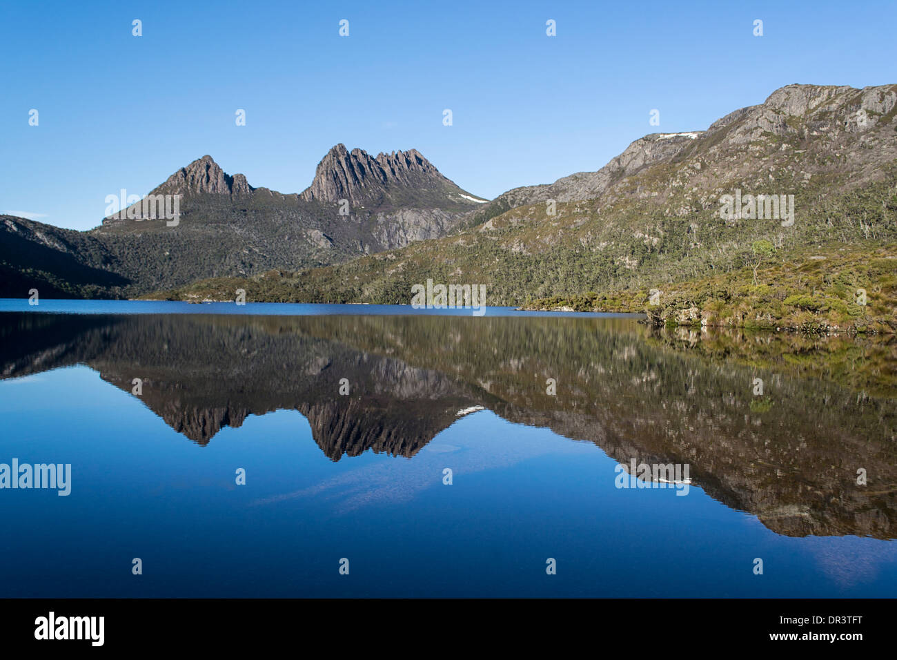 Cradle Mountain, Tasmania, Australia Foto Stock