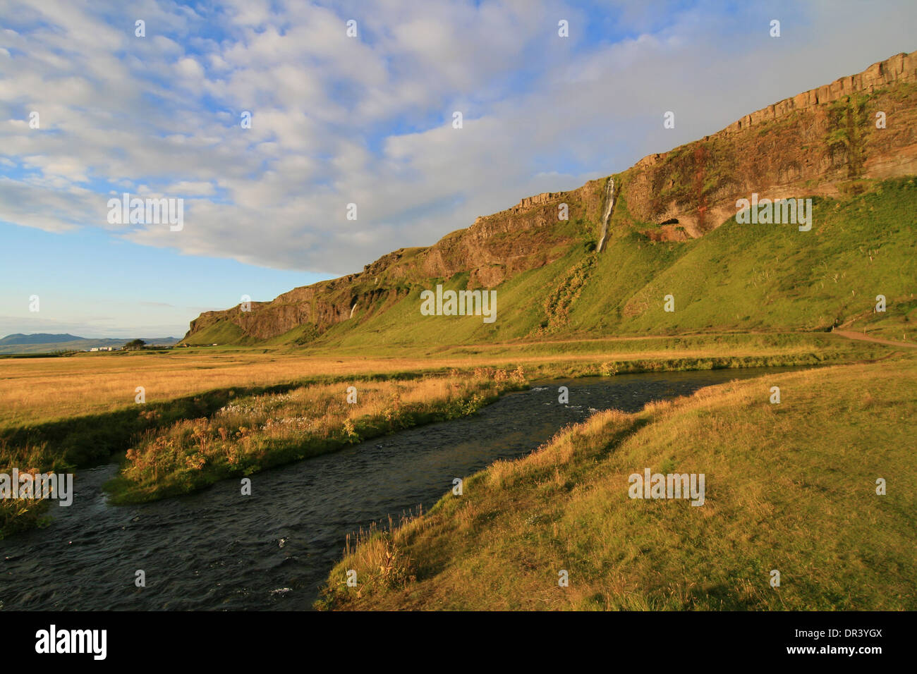 Scogliere dell'ex costa sud in Storidalur, Sud dell'Islanda. Foto Stock