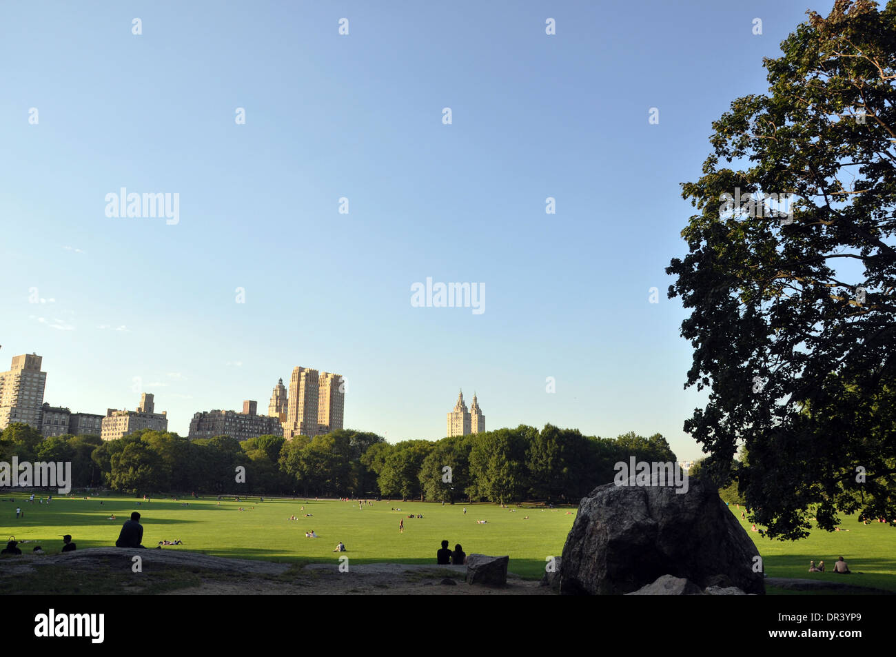 Il grande prato di Central Park (New York City) Foto Stock