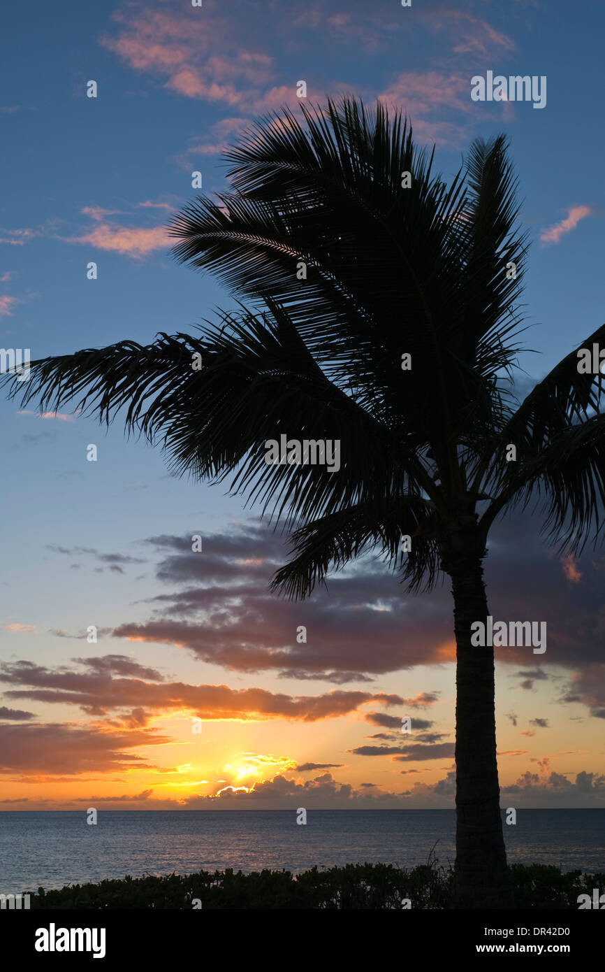 Tramonto e palme sull'Oceano Pacifico, Paradise Cove, Kapolei, Oahu, Hawai Foto Stock