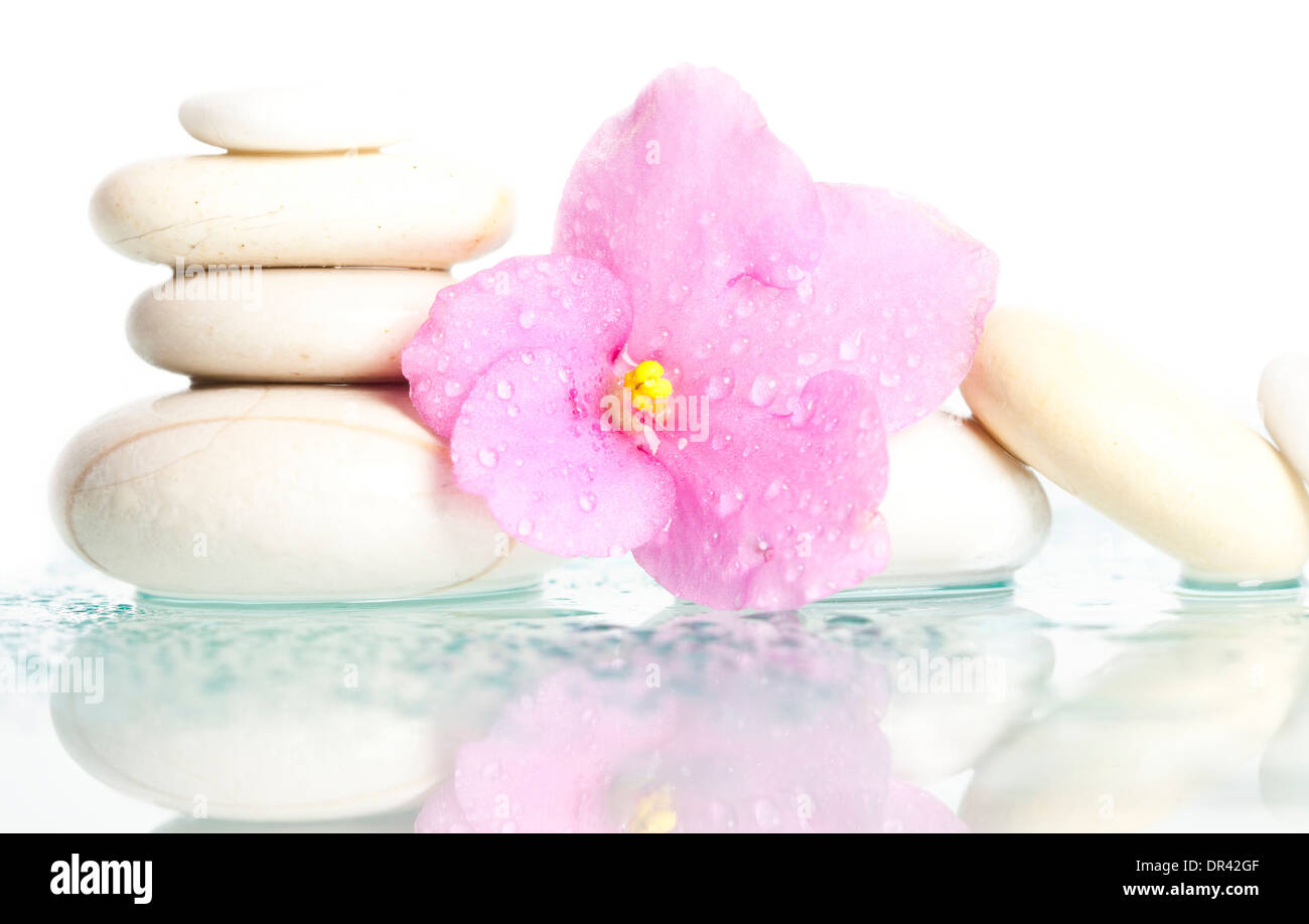 Spa pietre e fiore rosa su sfondo bianco Foto Stock