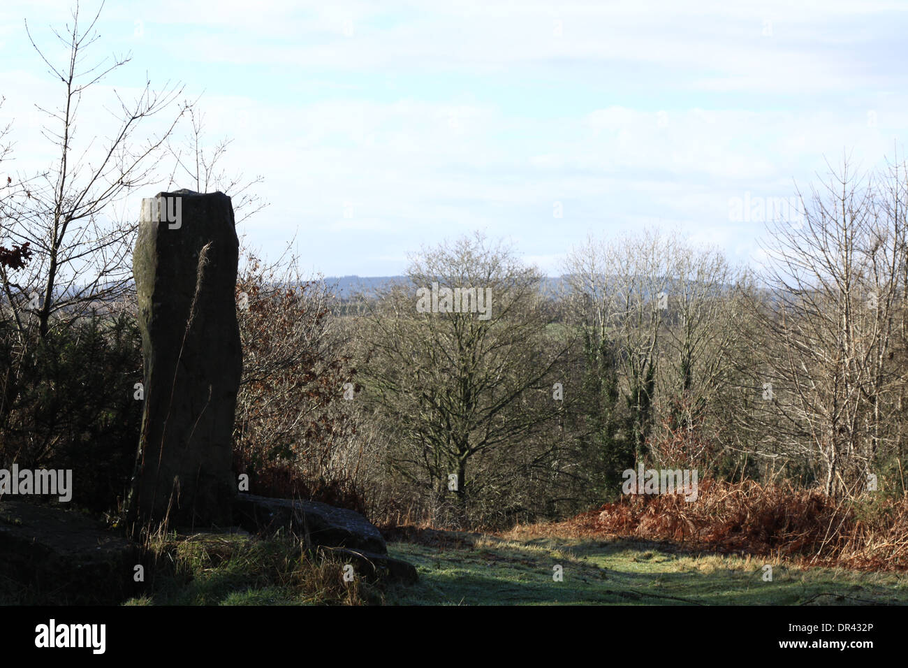 Una pietra permanente su Clearwell Meend nella Foresta di Dean Gloucestershire, Inghilterra. Foto Stock