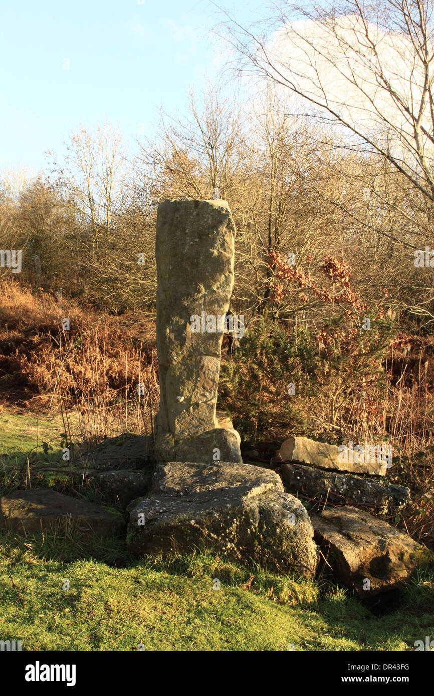 Una pietra permanente su Clearwell Meend nella Foresta di Dean Gloucestershire, Inghilterra. Foto Stock