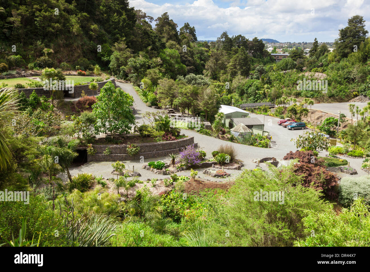 Whangarei giardini di cava, Northland e Nuova Zelanda. Foto Stock