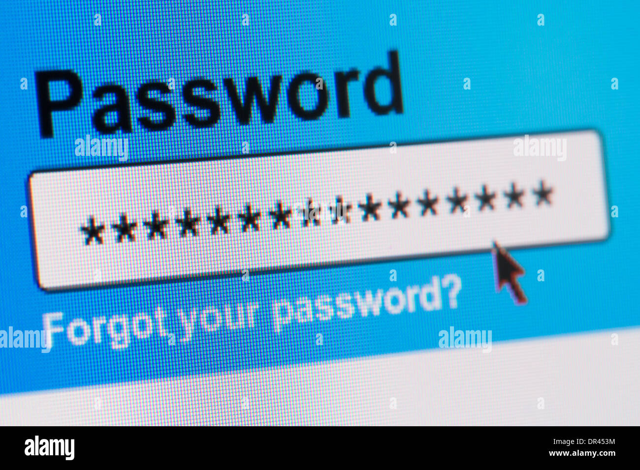 Primo piano della casella Password nel browser Internet Foto Stock