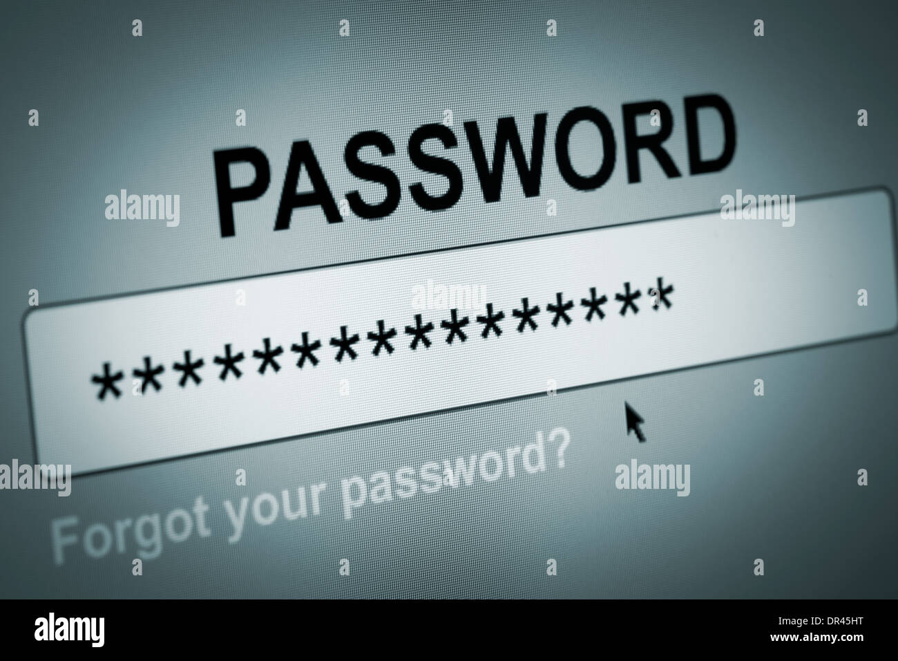 Primo piano della casella Password nel browser Internet Foto Stock