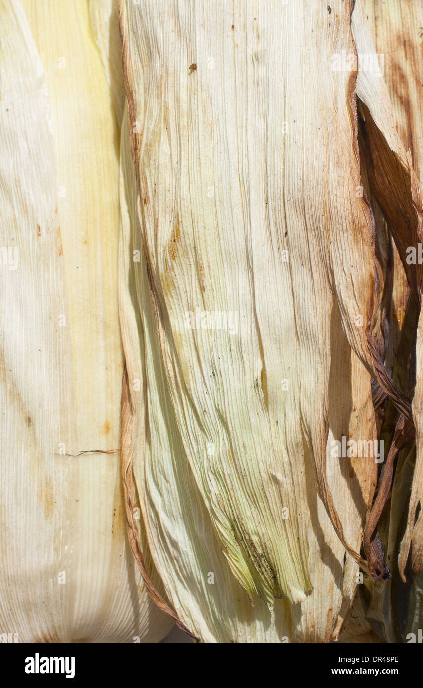 Cereale arrostito Foto Stock