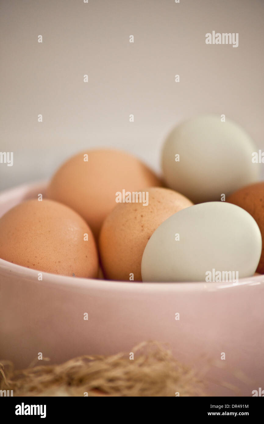 Uova fresche di fattoria Foto Stock