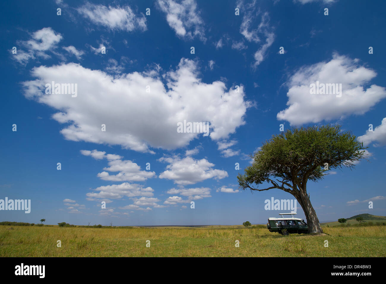 Parco Nazionale del Serengeti Foto Stock