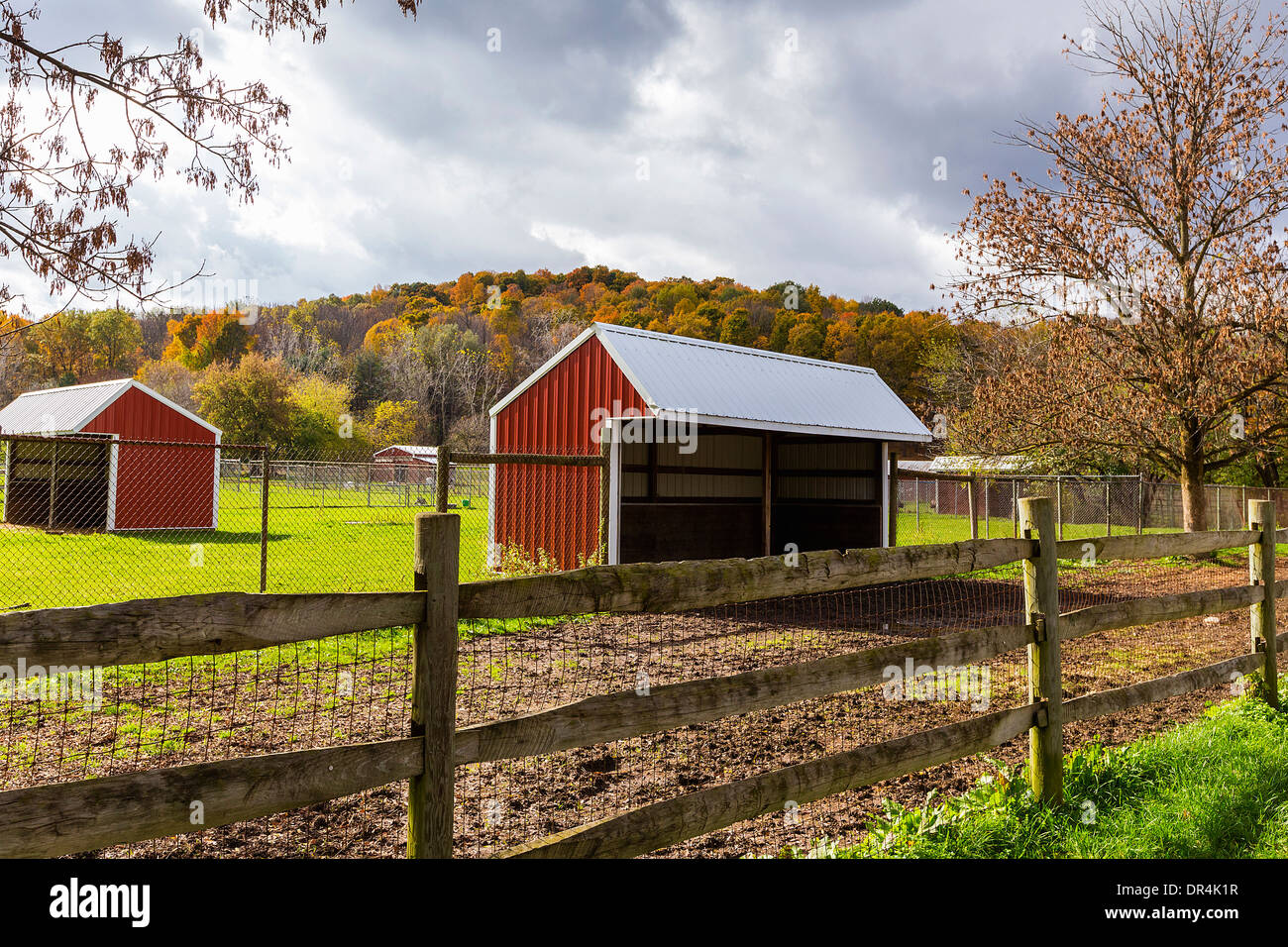 Granaio sulla fattoria rurale, Fairport, New York, Stati Uniti Foto Stock