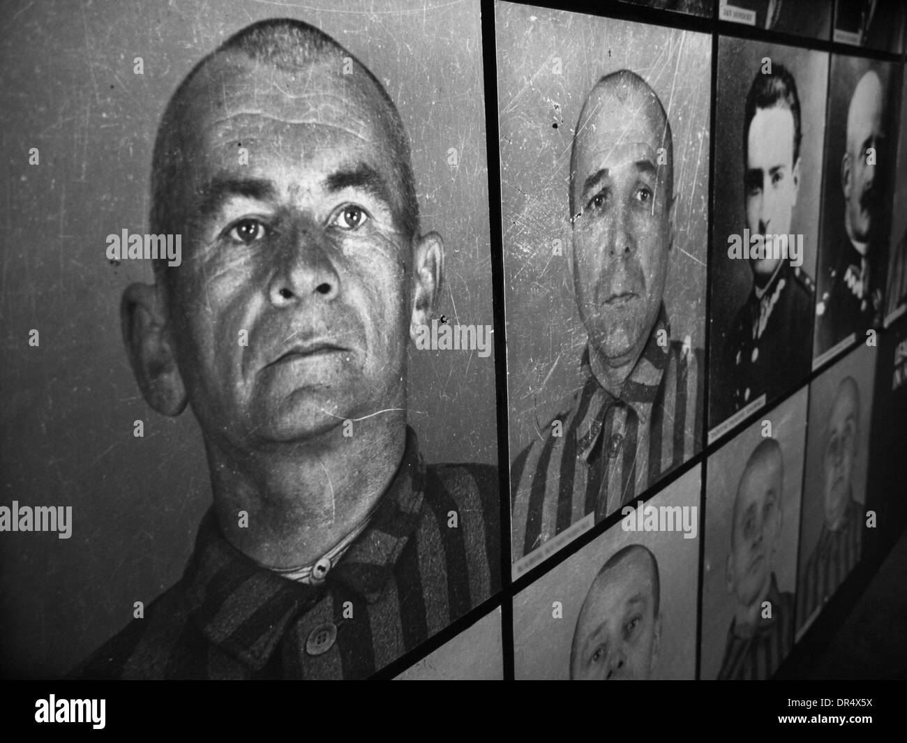 Le foto delle vittime dell'olocausto sulle mura di Auschwitz in Polonia Foto Stock