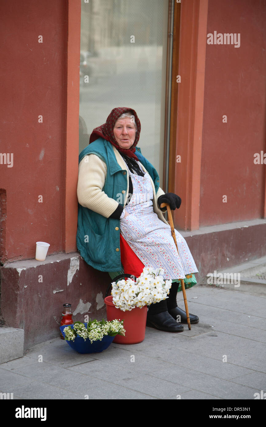 Vecchia donna che vendono fiori, Sibiu (Hermannstadt), Transilvania, Romania, Europa Foto Stock