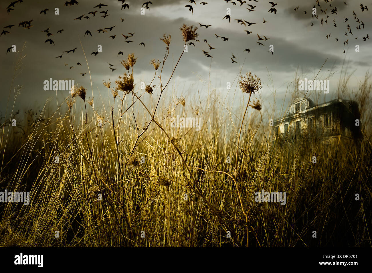 Abbandonato Haunted House in un inquietante scenario Foto Stock