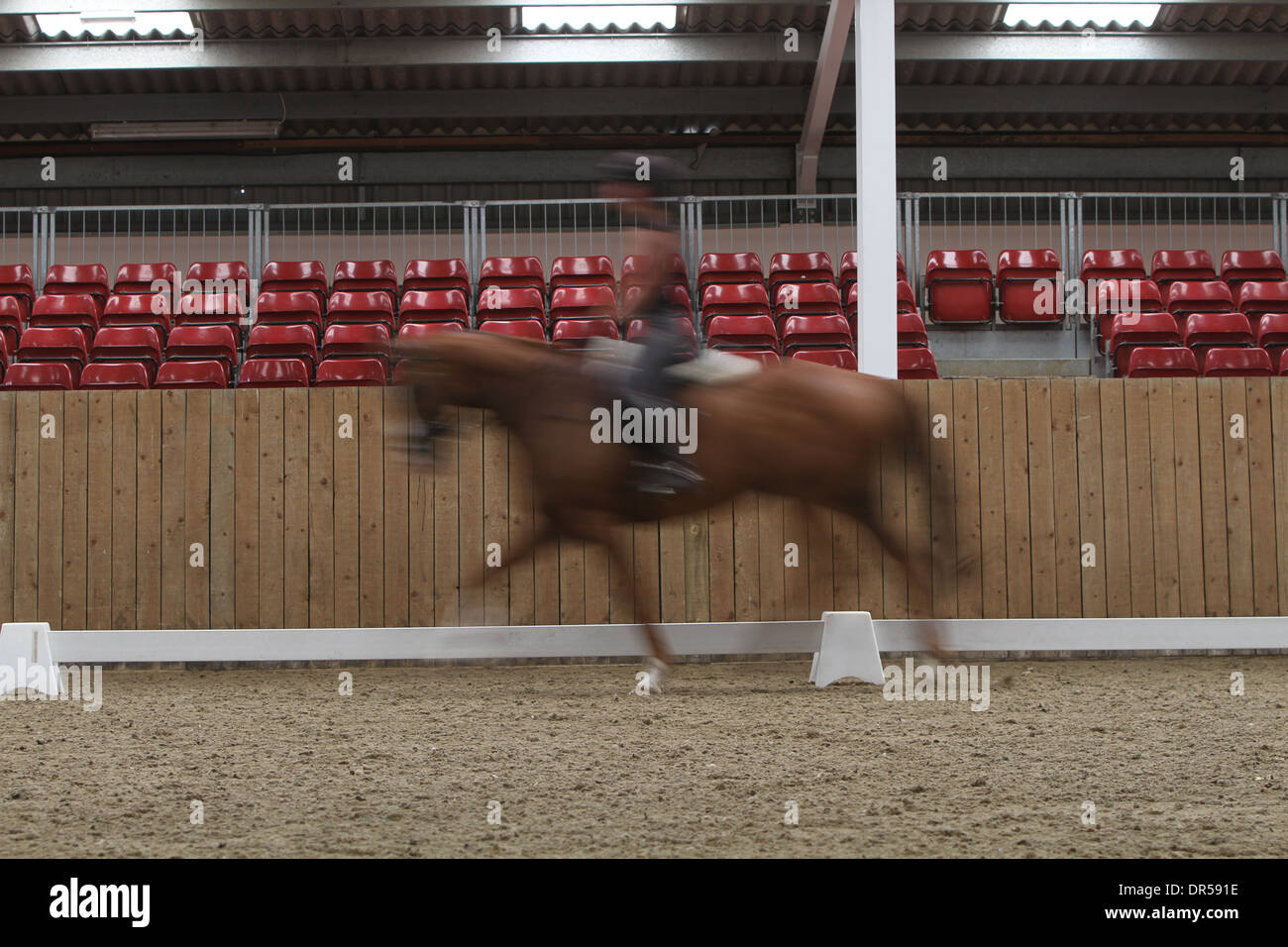 Cavallo dressage arena Foto Stock